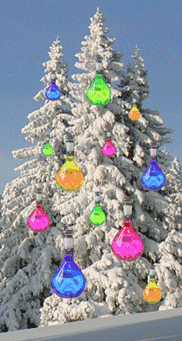 Weihnachten Aktuell 2024